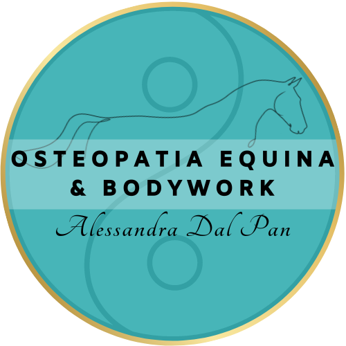 Osteopata Equino EDO® & Equinology Equine Body Worker®